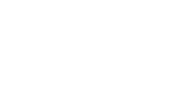 BONA AGENCY
